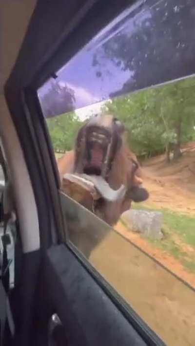 This day had been coming a long time