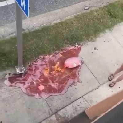 To drink alcohol from a story up