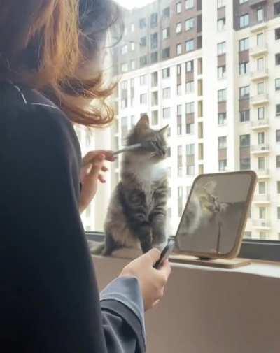 Hey, it's my turn now..