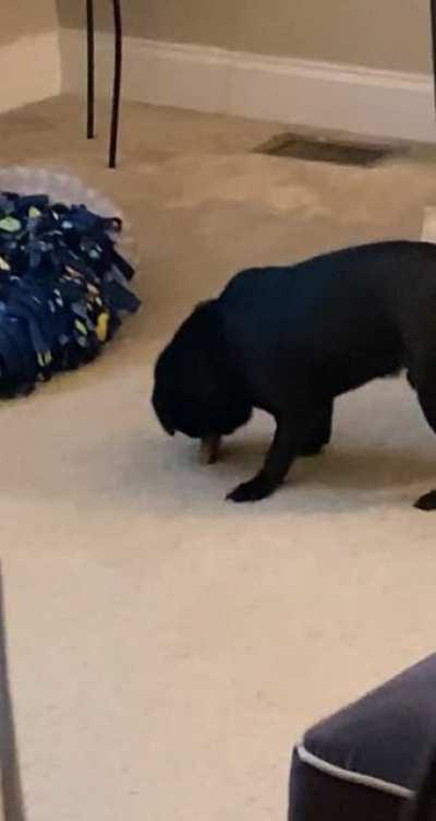 Gary does this with all his bones 🤦‍♀️