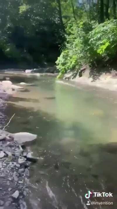 I'm Fast Af boiii...