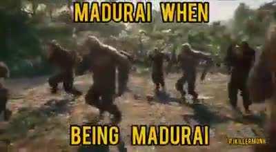 Apes Strong Together!! ( Not Oc)