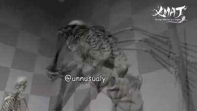 cuando el reloj marca a las 12