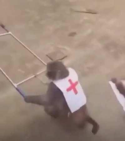 I have nothing more to say 🥺😂