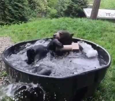 So cute I can't bear it