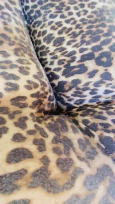 Hope you don’t mind this very wet sounding fart 💨 