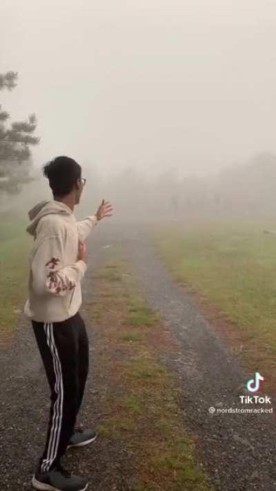 The whole football team