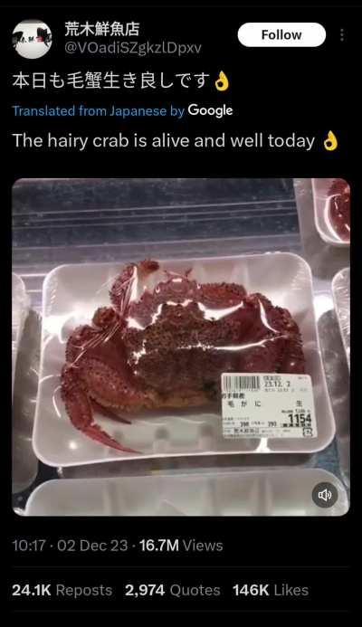 The Kani Outbreak...