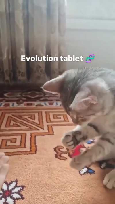 Sjcjgndc THE ROT IS COMIG evlutoon.....