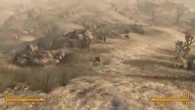 Didn’t end well for that guy