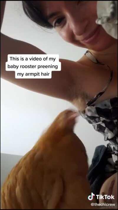 jesus motherfucking christ