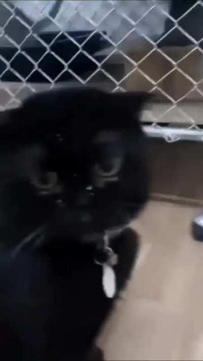 The disappointment in the face is priceless