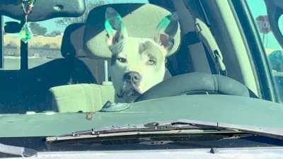 I felt his eyes upon me