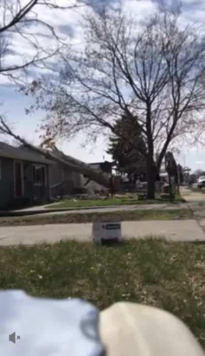 Idiot cuts a tree down and it falls on a house