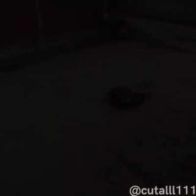 Buy Bioshock Infinite Now