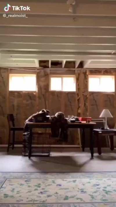 Thanks man, very cool.