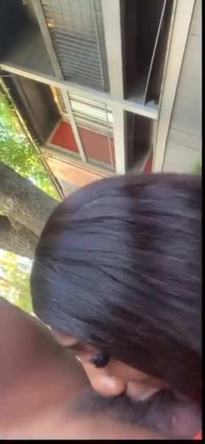 Under The Shade Tree