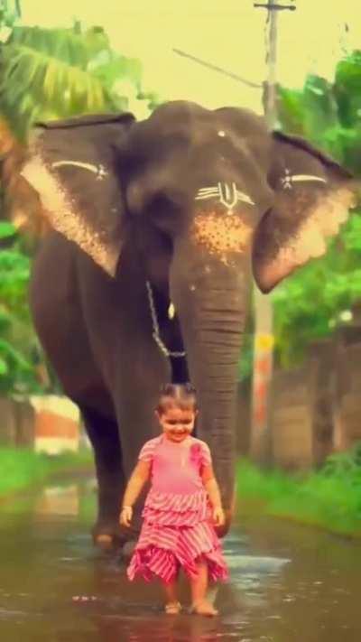 Elephants are One Of the Most Caring & Lovable Animals :)