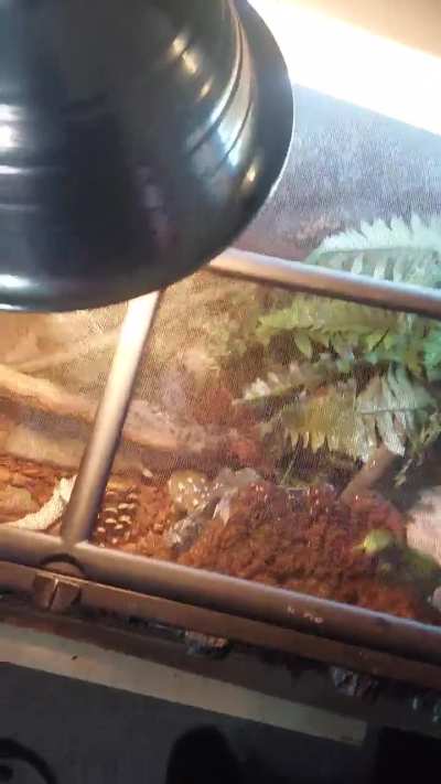 SeaFoam Styx hates pouring water