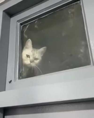 How to check for Spyware