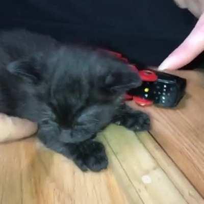 SToP TeaSinG bABy mAn KArEN😔