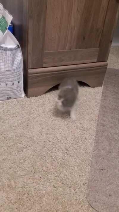 An interesting title