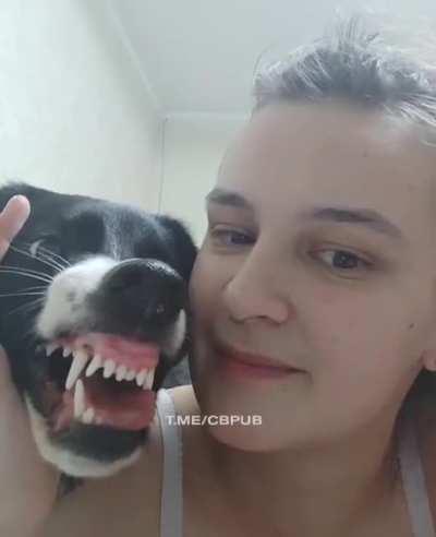 WCGW giving a cute puppy a little kiss?