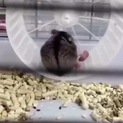 “See, kids? You just get in here and then you run run ru-“