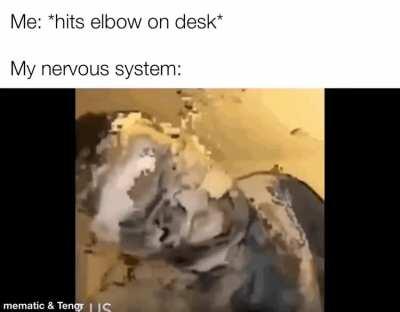 Idk if this has been posted yet