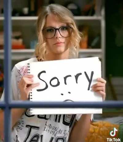 You Belong With Me Ticketmaster Queue (from TikTok)