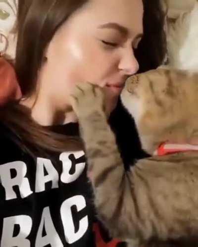 He need more kisses!