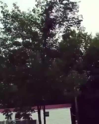 HMFT after I play tree frisbee