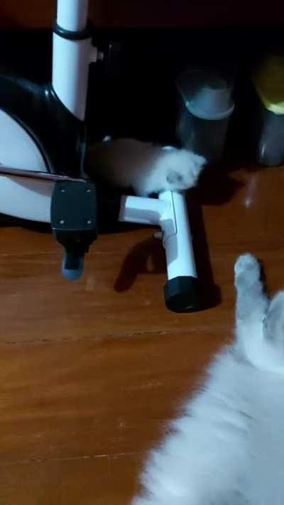 Mama! Did you see me climb this big wall!? Mama!