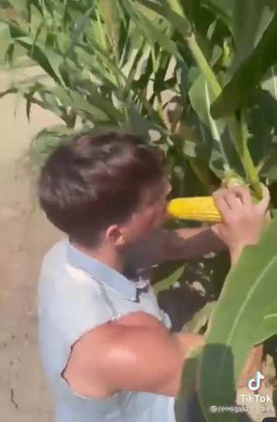 can’t get more gay than this.