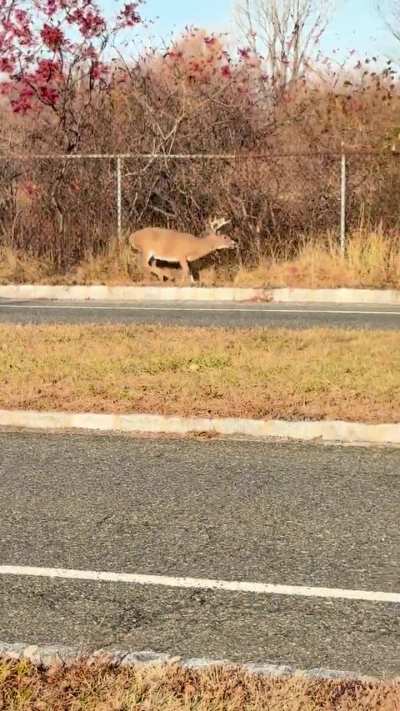 More openings needed