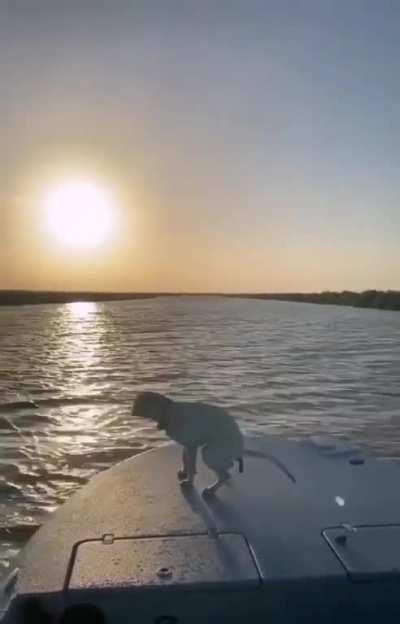 Titanic adaptation Netflix