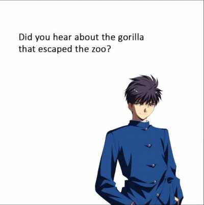 I am a very quiet gorilla