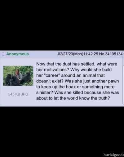 Losercity Paranormal