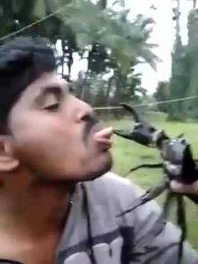 What could go wrong?