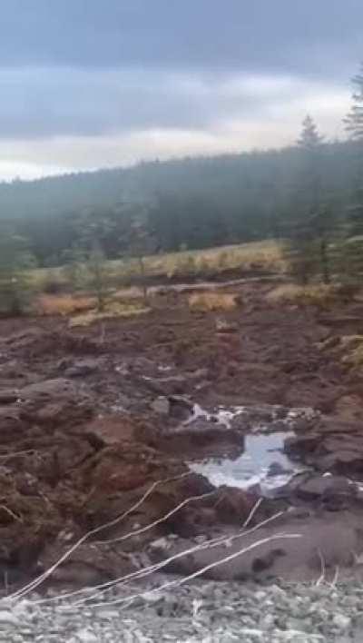 Burarum, come my friends.