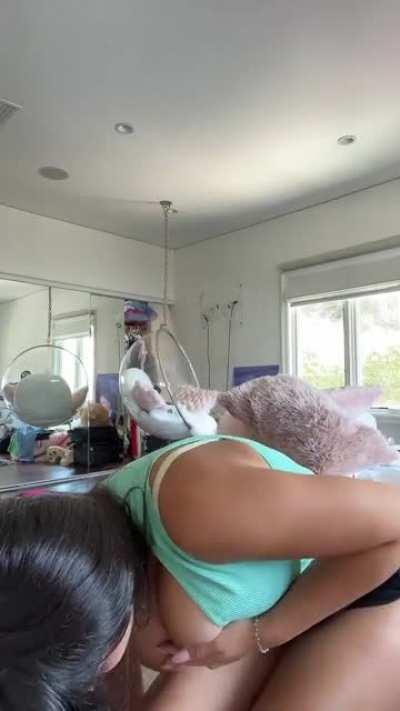 zoeeducorsky-live tik tok