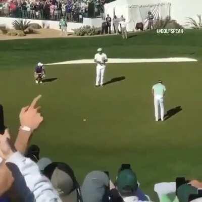 All this excitement for golf! I love it.