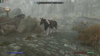 Literally no one : A horse I stole :