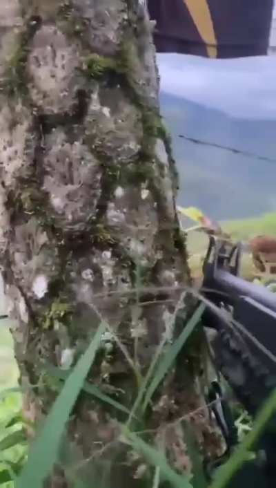 Troops of the 9th Rapid Deployment Force of the 1st Division of the National Army of Colombia engaged in combat with the ELN in La Marizosa, Santa Rosa del Sur, Bolívar. Sep 5, 2025.