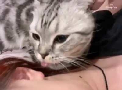 I need my pacifier to fall asleep.