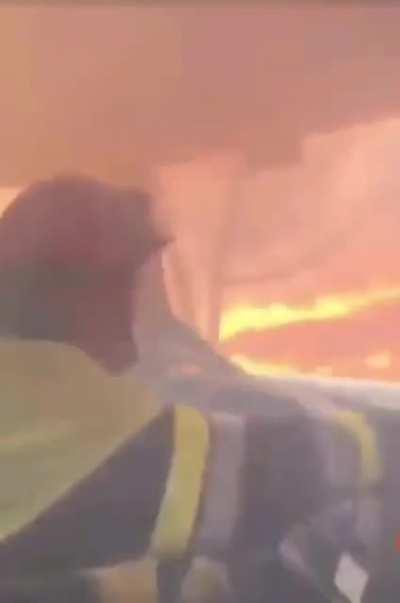 Firefighters in the south of France who only survived because of the 