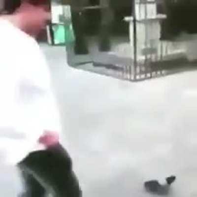 Pigeon leads man into a trap