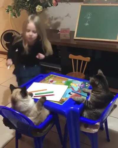 This is so adorable!