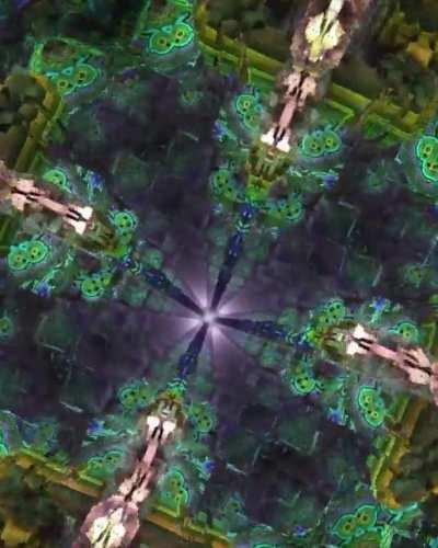 Down the Rabbit Hole