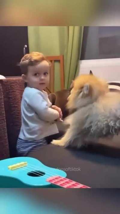 Kid vs Dogs 🐕🐶